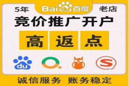 揭秘SEM竞价成功案例，助你提升ROI